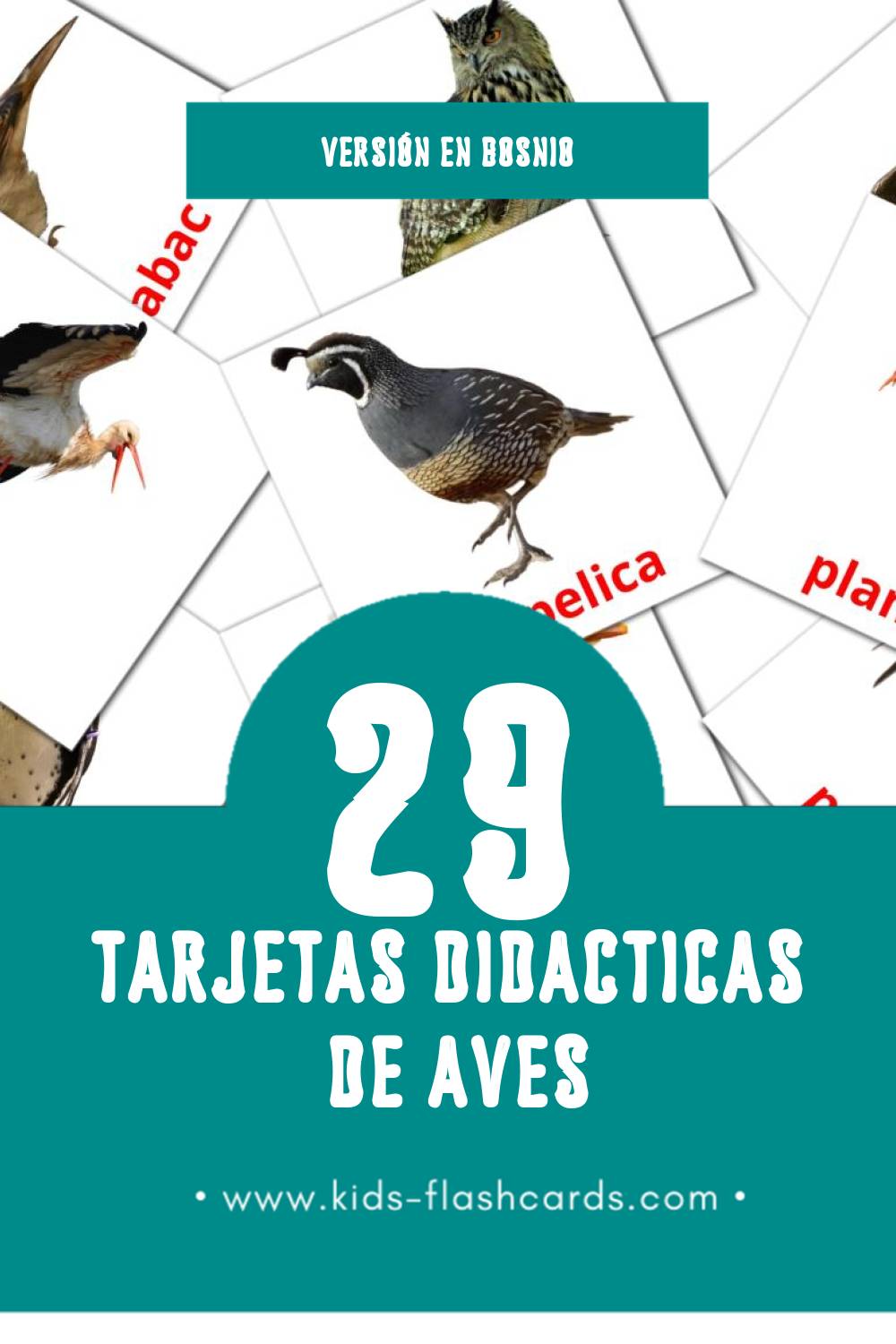 Tarjetas visuales de Ptice para niños pequeños (29 tarjetas en Bosnio)