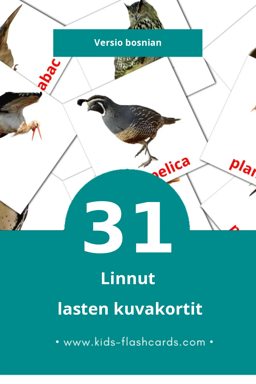 Ptice lasten kuvakortit pikkulapsille (31 korttia Bosnianksi)