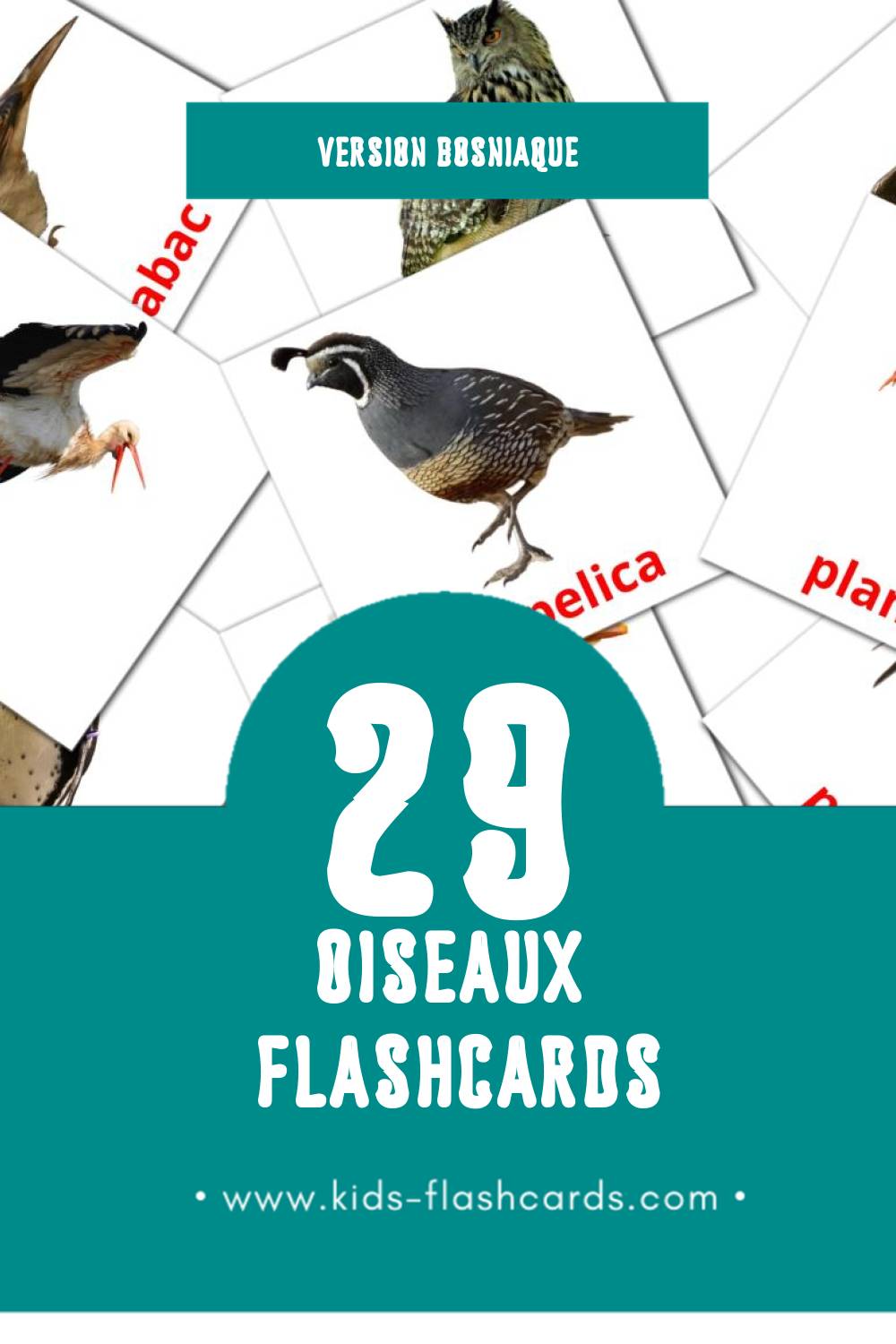 Flashcards Visual Životinje pour les tout-petits (11 cartes en Bosniaque)