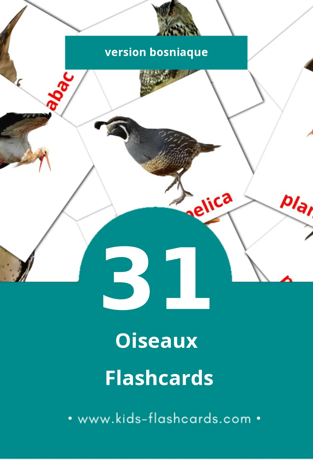 Flashcards Visual Ptice pour les tout-petits (31 cartes en Bosniaque)