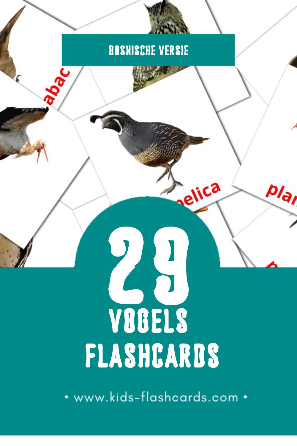 Visuele Ptice Flashcards voor Kleuters (29 kaarten in het Bosnisch)