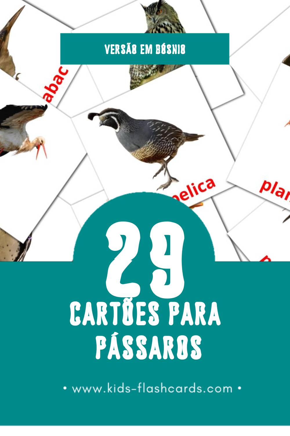 Flashcards de Ptice Visuais para Toddlers (29 cartões em Bósnio)