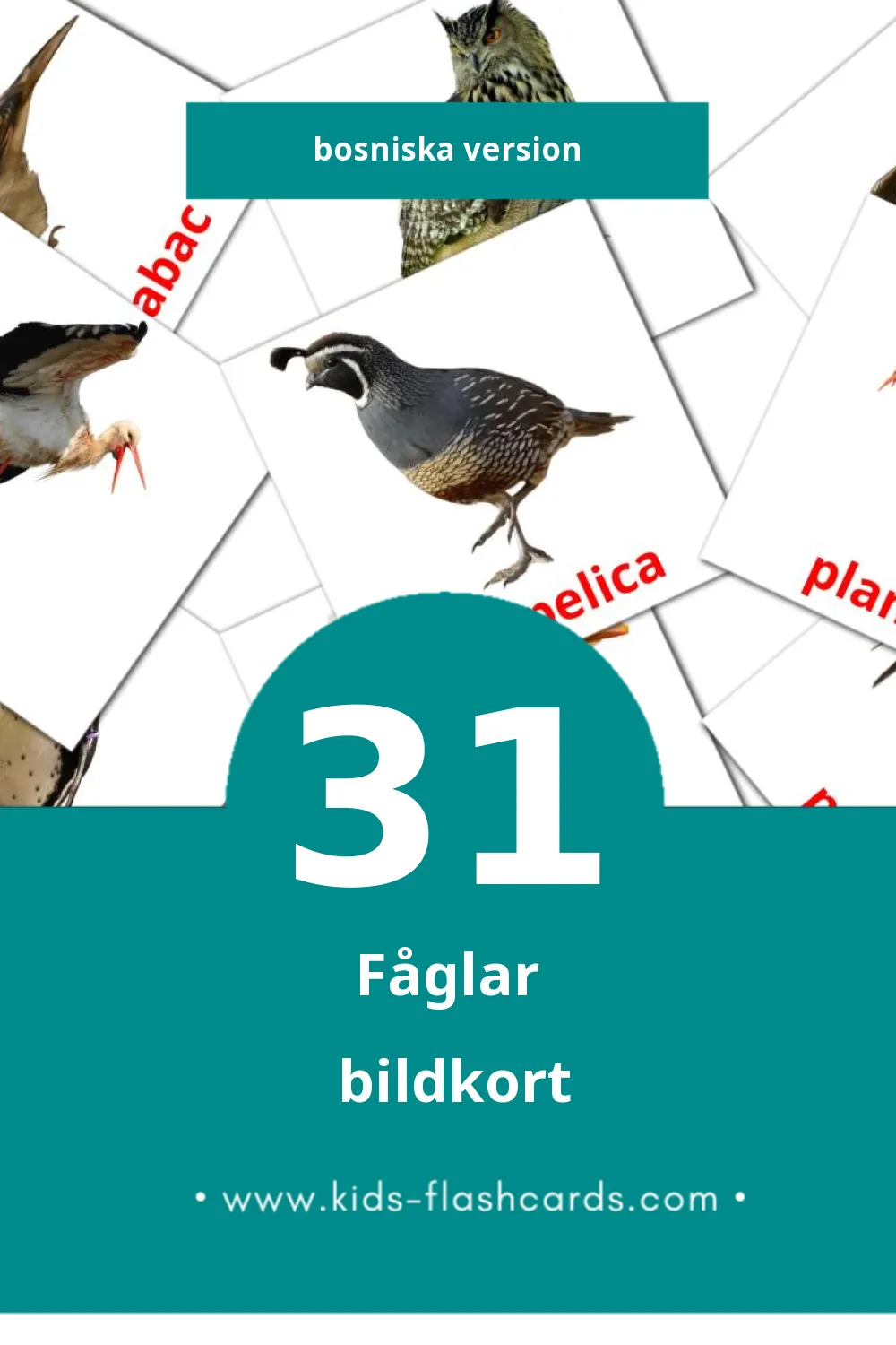 Visuella Ptice för småbarn (31 bildkort för barn på Bosniska)