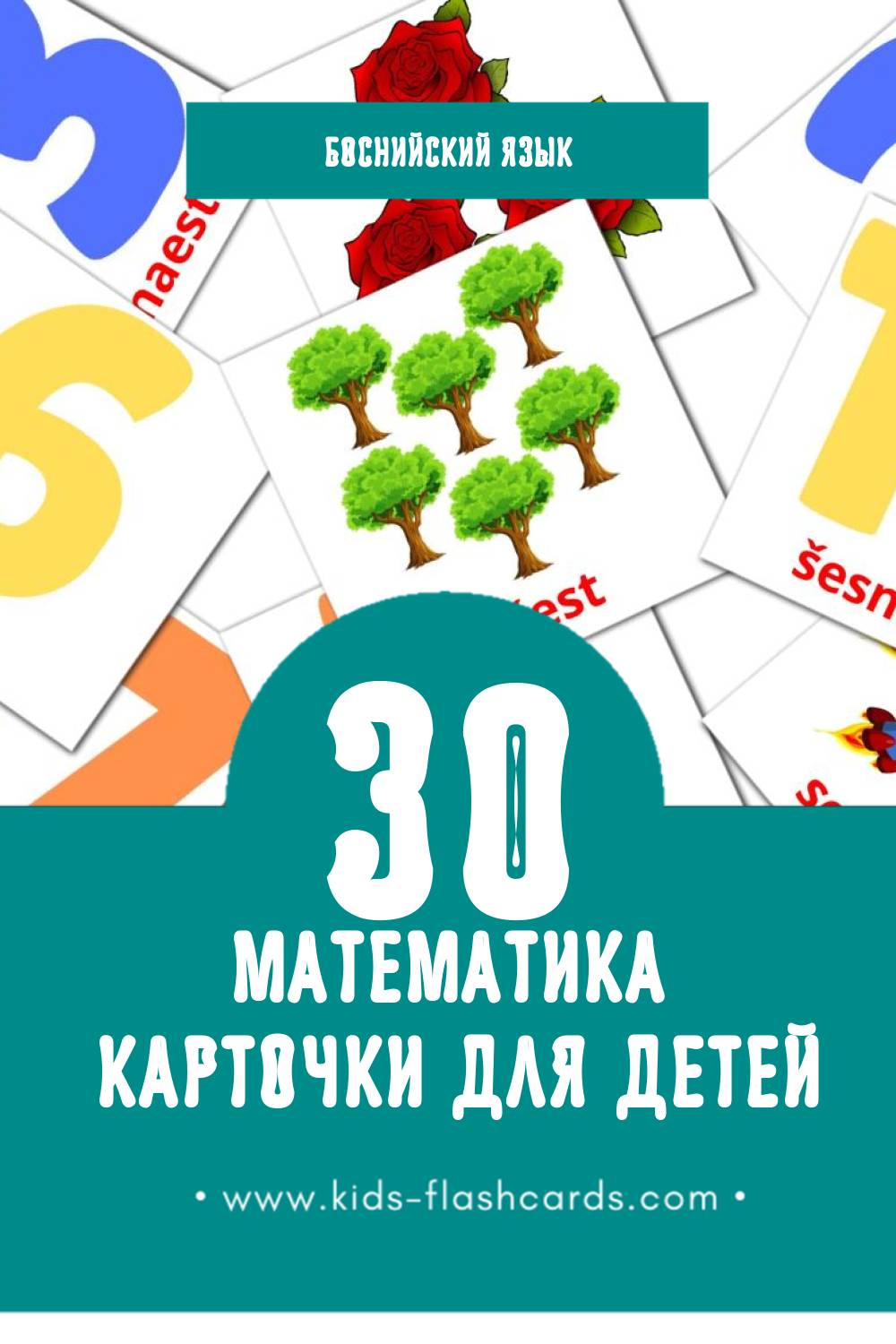 "Maths" - Визуальный Боснийском Словарь для Малышей (20 картинок)