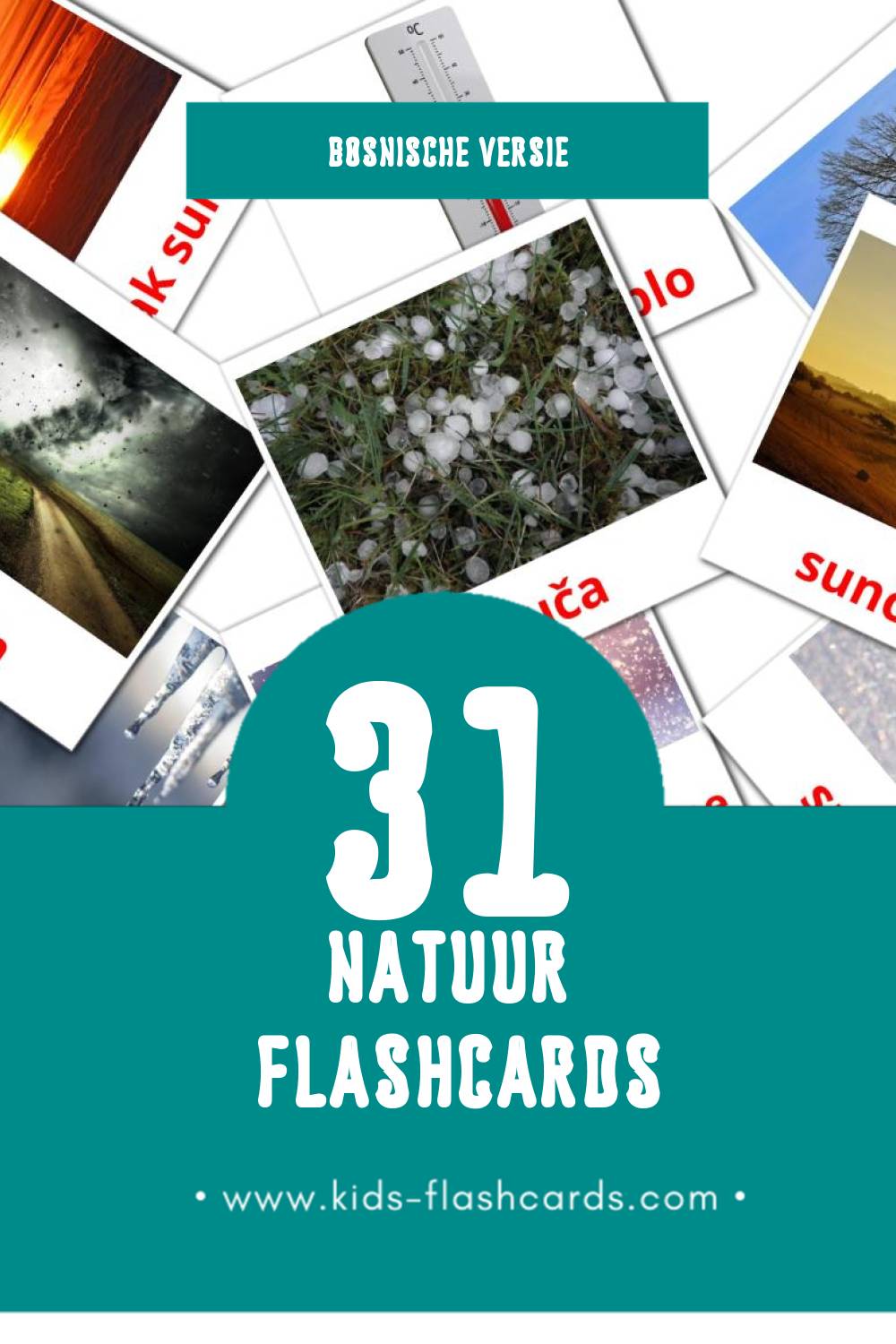 Visuele priroda Flashcards voor Kleuters (31 kaarten in het Bosnisch)