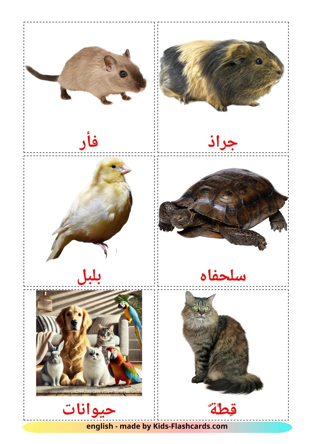Domestic animals - 11 Free Printable buryat Flashcards