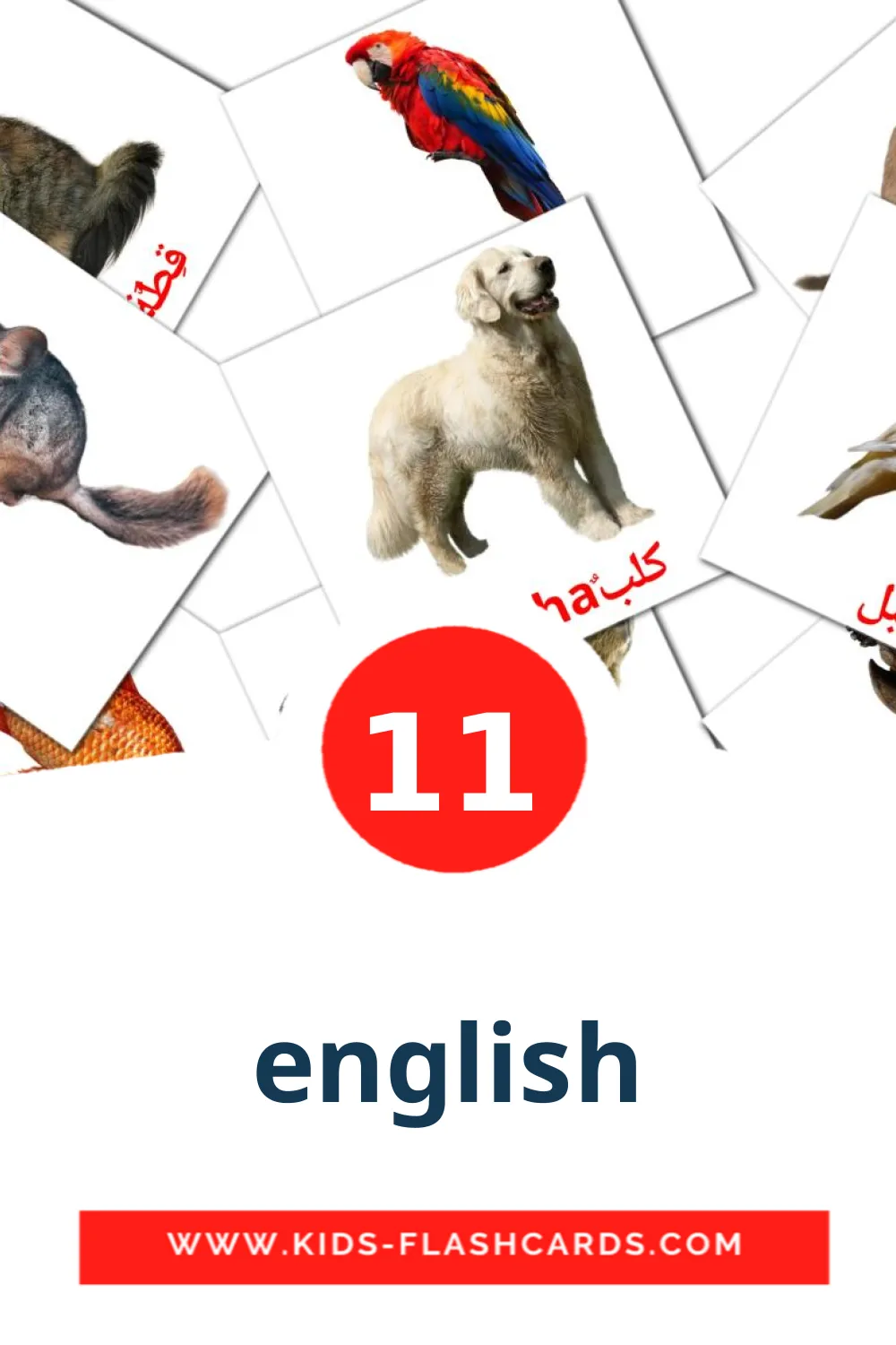 11 english Picture Cards for Kindergarden in buryat