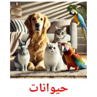 حيوانات picture flashcards