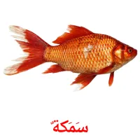 سَمَكَةٌ picture flashcards