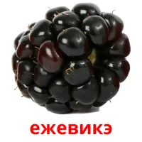 ежевикэ bildkort för barn