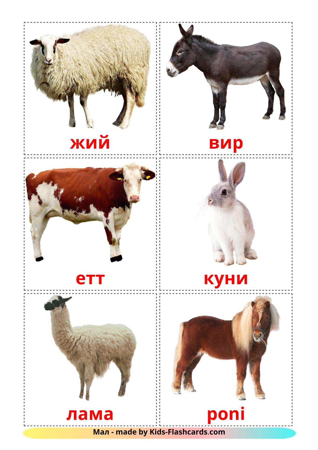 Farm animals - 15 Free Printable buryat Flashcards 