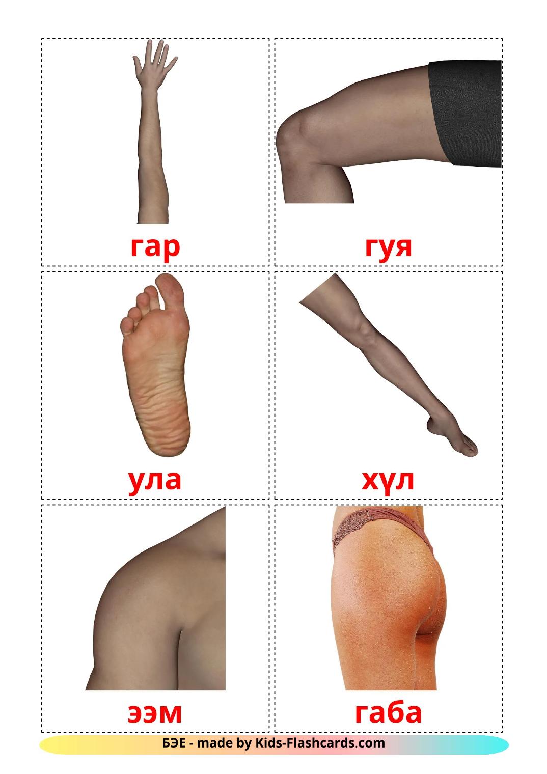 Body Parts - 26 Free Printable buryat Flashcards