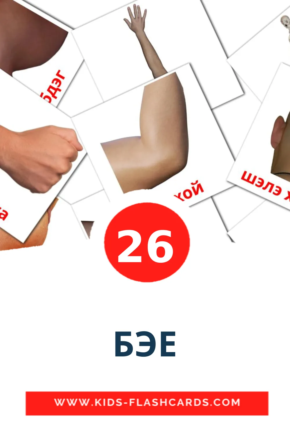 26 БЭЕ Picture Cards for Kindergarden in buryat