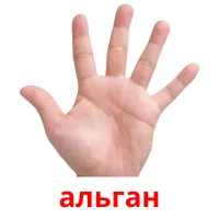 альган picture flashcards