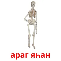 араг яһан picture flashcards