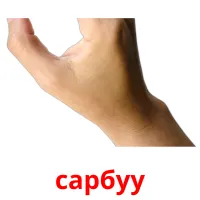 сарбуу picture flashcards