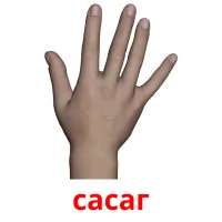 сасаг picture flashcards