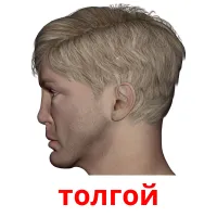 толгой picture flashcards