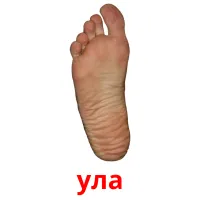ула picture flashcards