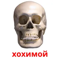хохимой picture flashcards