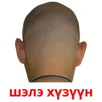 шэлэ хүзүүн picture flashcards