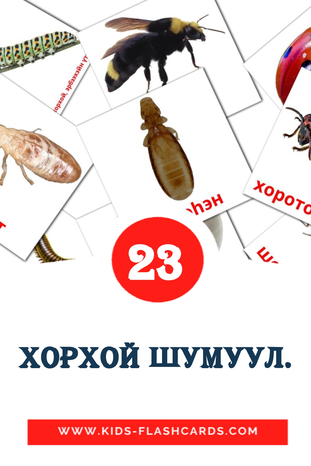 23 tarjetas didacticas de Хорхой шумуул. para el jardín de infancia en buriato