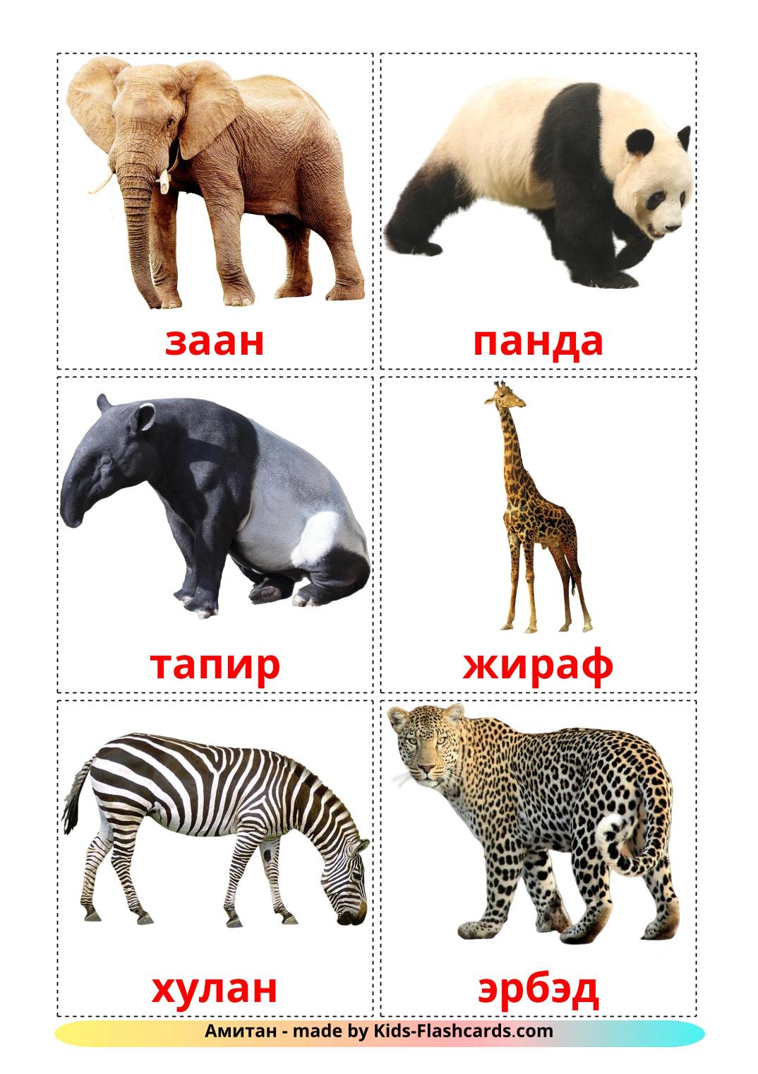 Dschungel Tiere - 21 kostenlose, druckbare burjatische Flashcards 