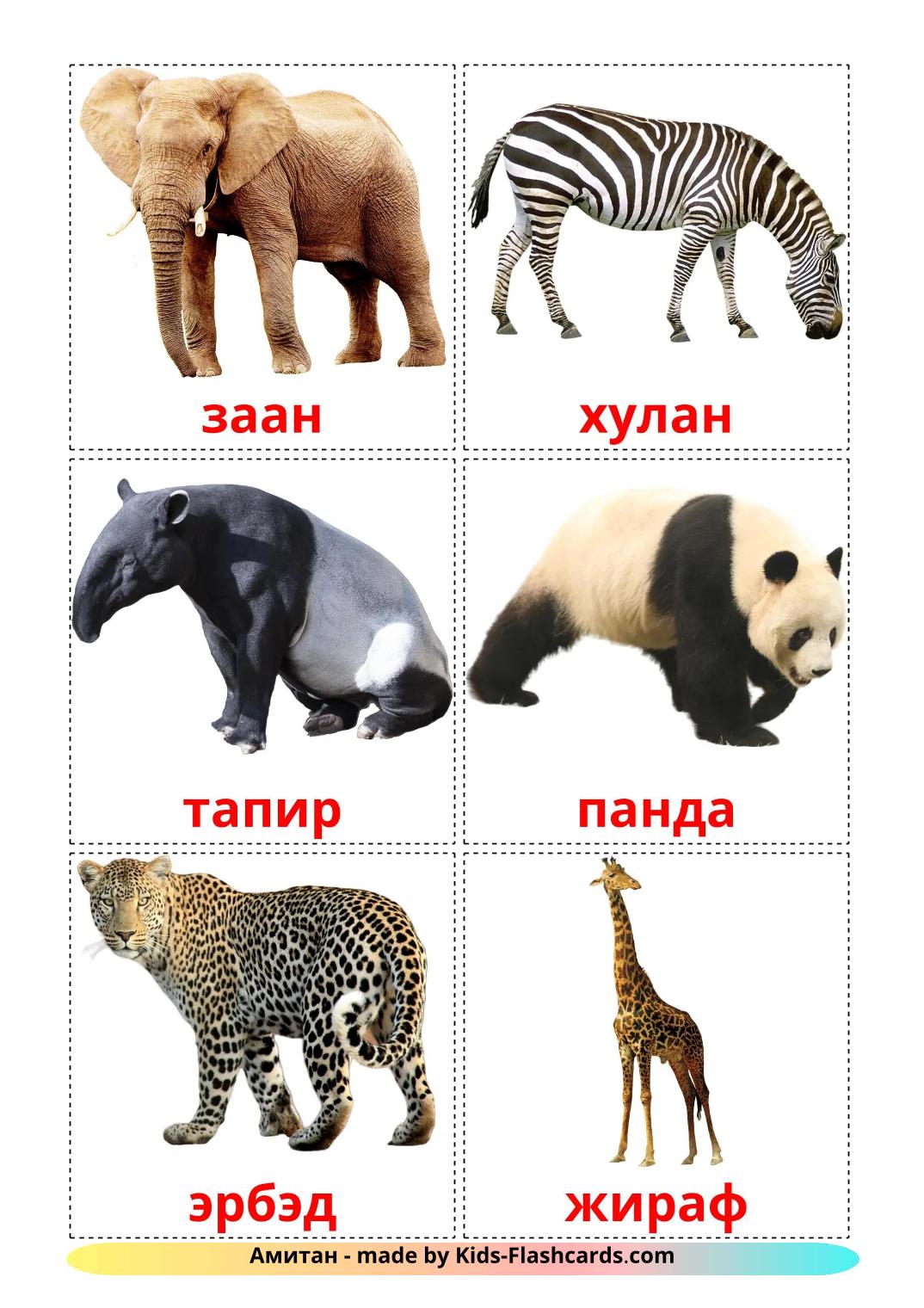 Les Animaux de la Jungle - 22 Flashcards bouriate imprimables gratuitement