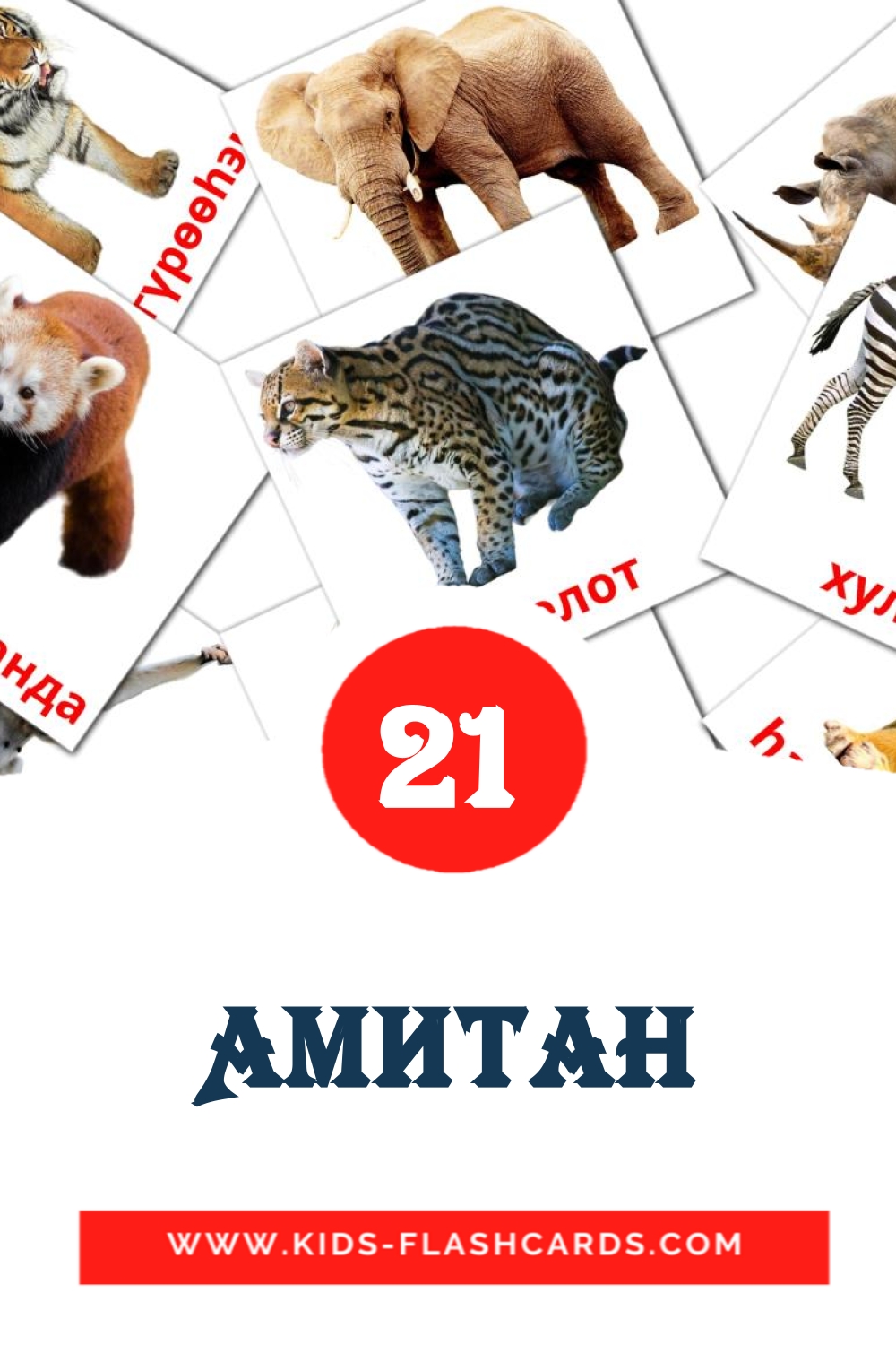 21 Амитан Picture Cards for Kindergarden in buryat