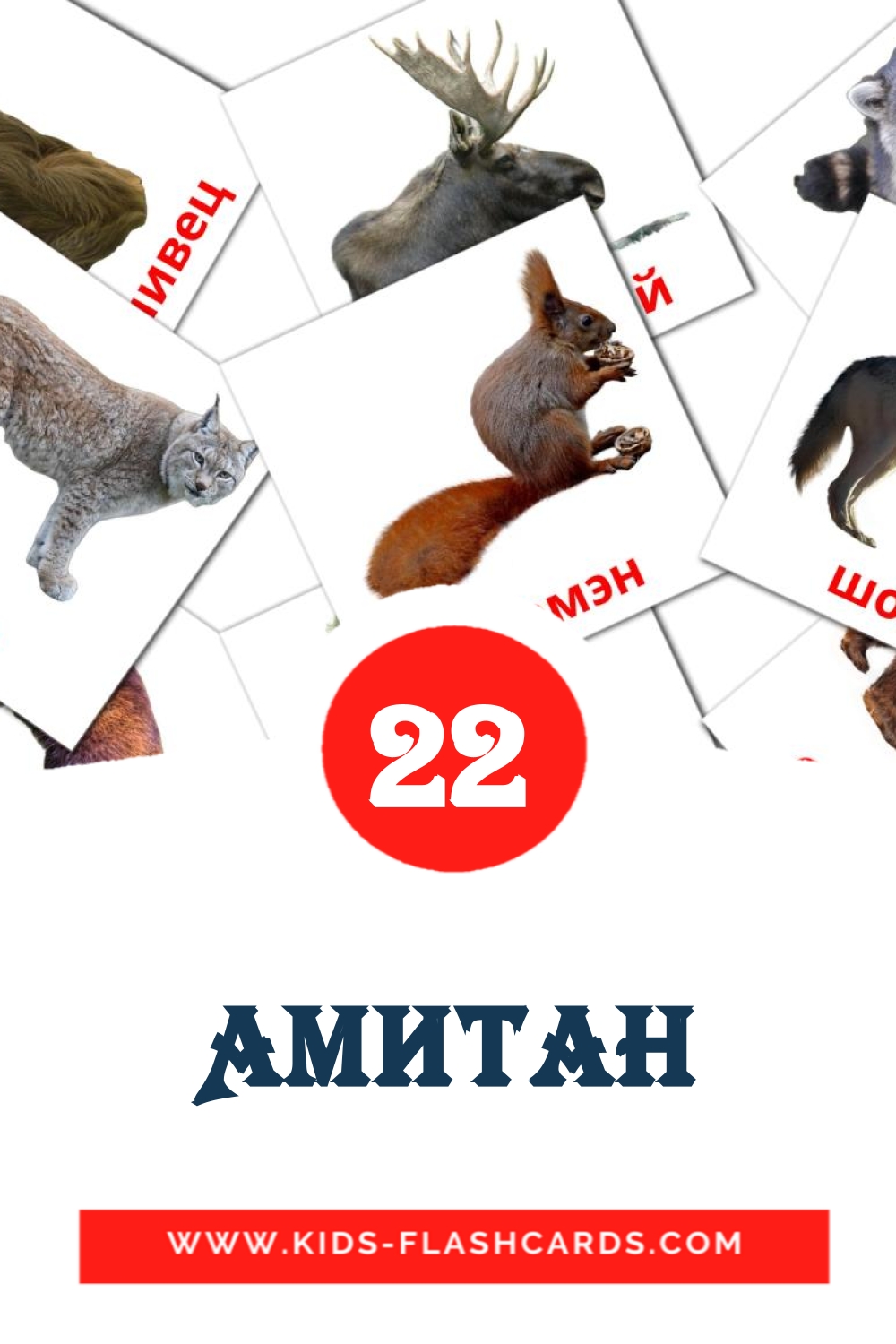 22 carte illustrate di Амитан per la scuola materna in buriata