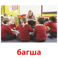 багша picture flashcards