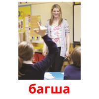 багша picture flashcards