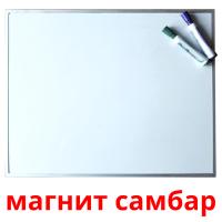 магнит самбар picture flashcards