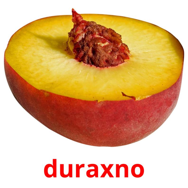 duraxno picture flashcards