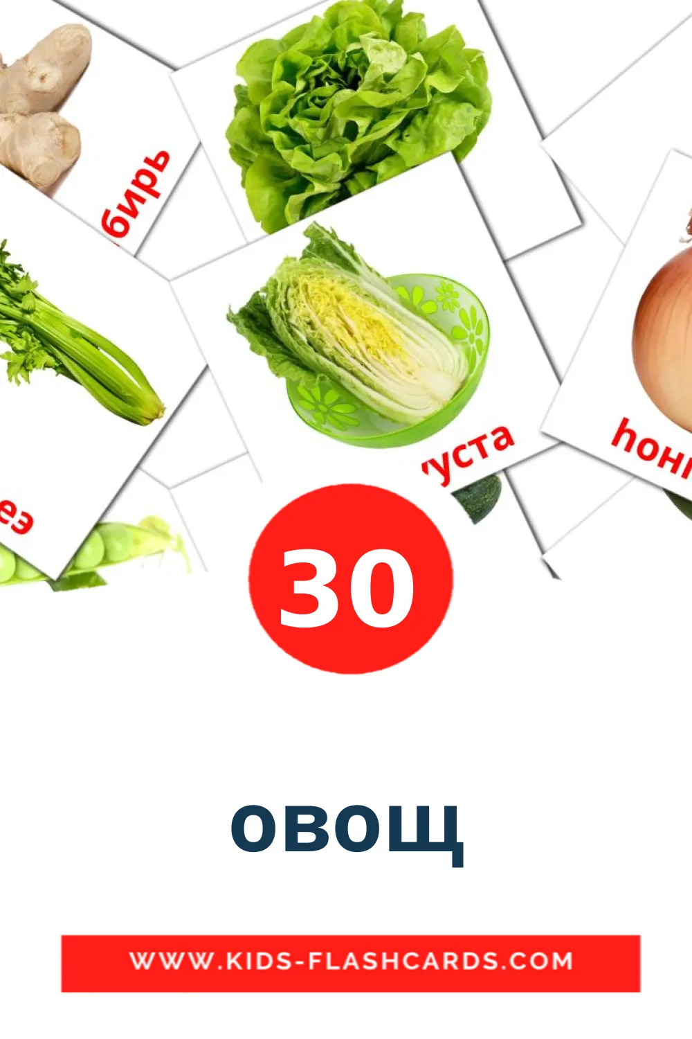 30 овощ lasten kuvakortti päiväkodille buryatksi