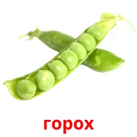 горох kuvakortit