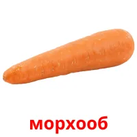 морхооб kuvakortit