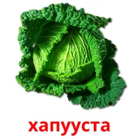хапууста kuvakortit