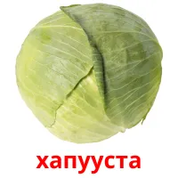 хапууста kuvakortit