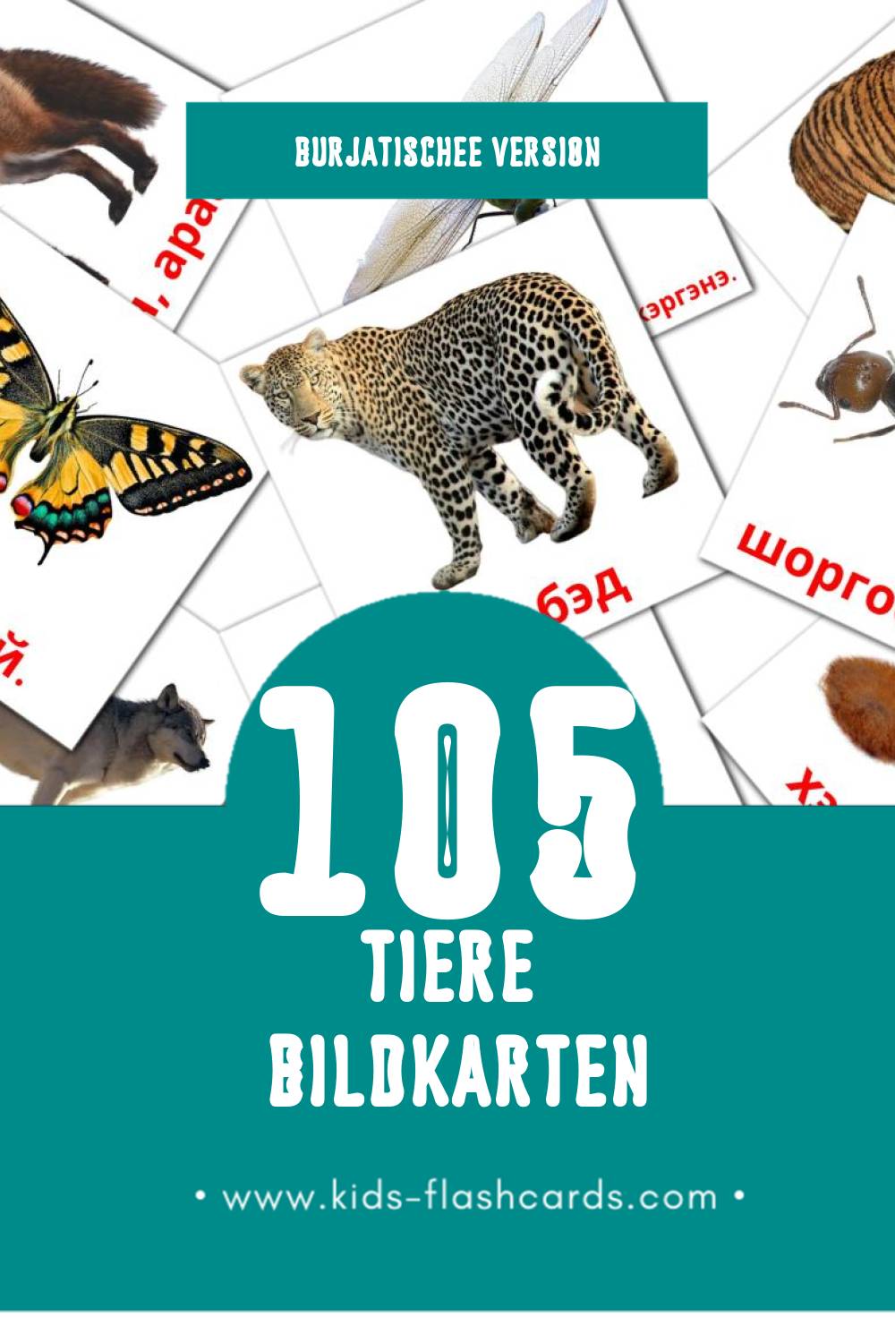 Visual Амитан Flashcards für Kleinkinder (116 Karten in Burjatische)