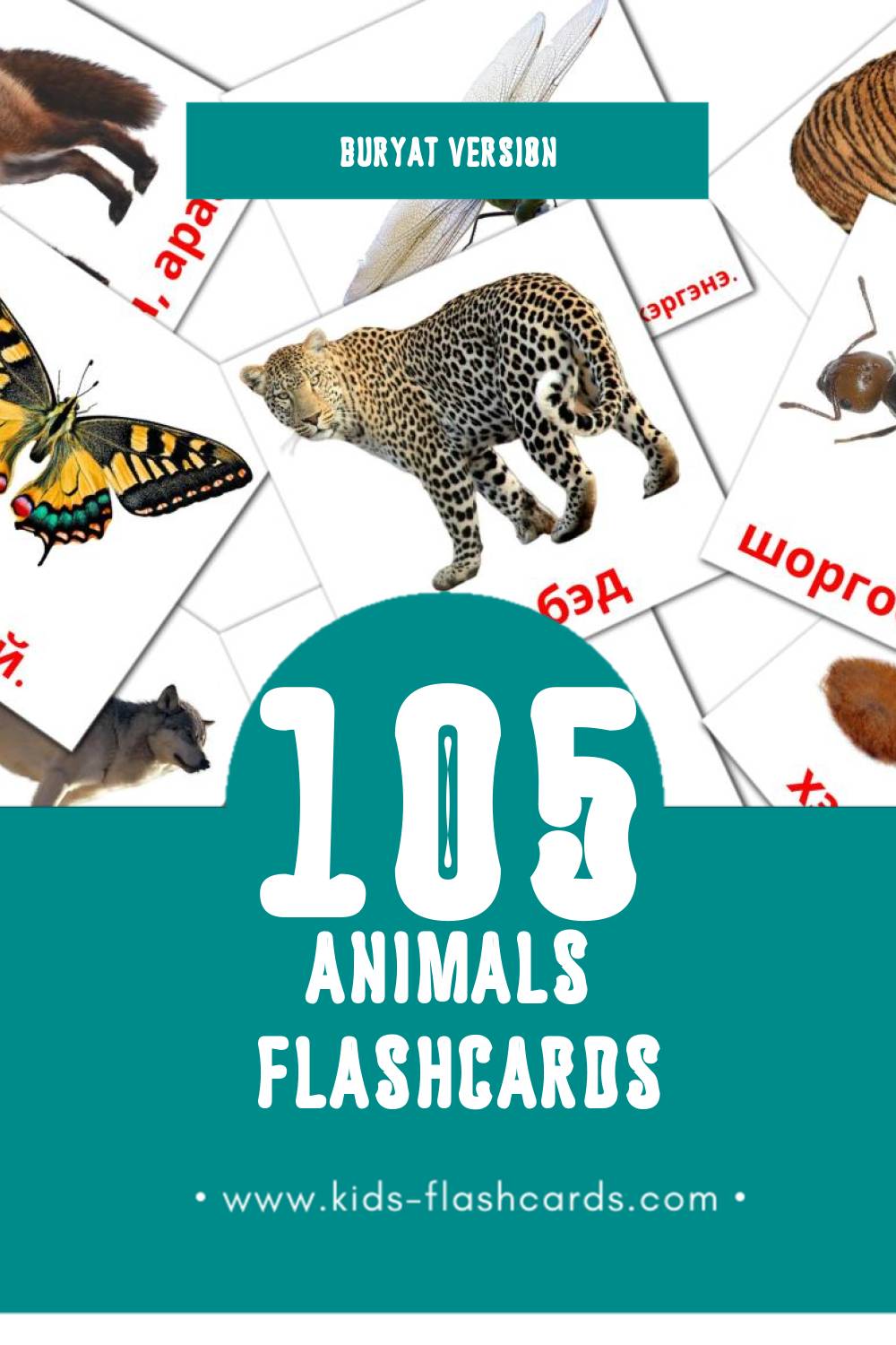 Visual Амитан Flashcards for Toddlers (116 cards in Buryat)