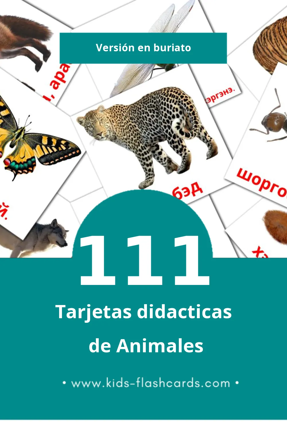 Tarjetas visuales de Амитан para niños pequeños (111 tarjetas en Buriato)