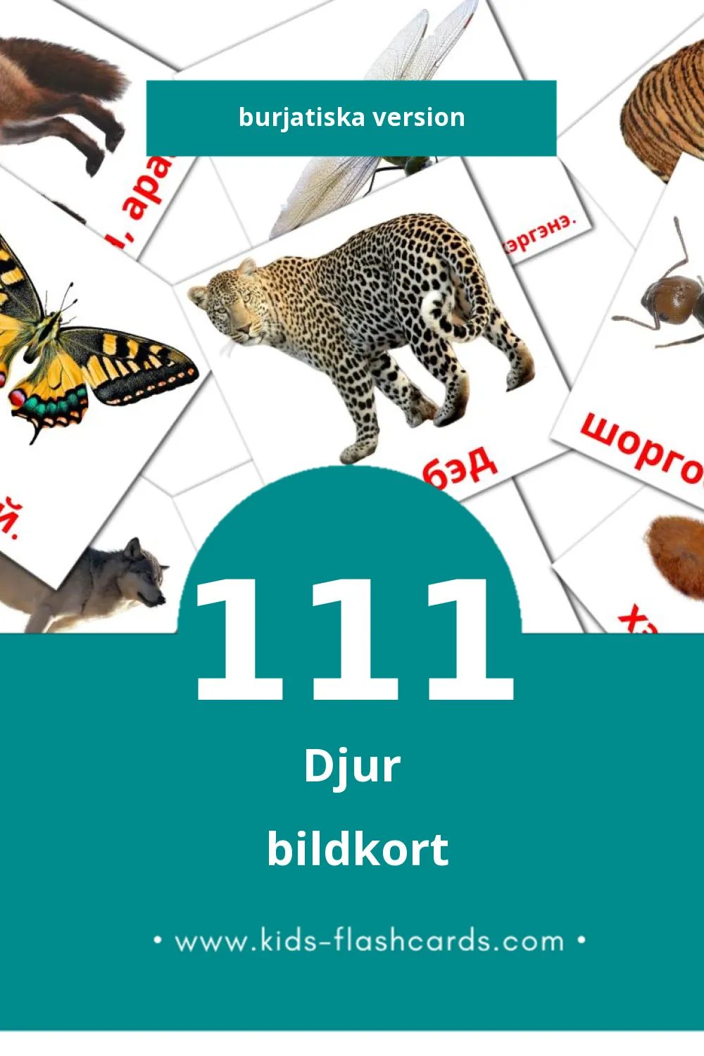 Visuella Амитан för småbarn (111 bildkort för barn på Burjatiska)