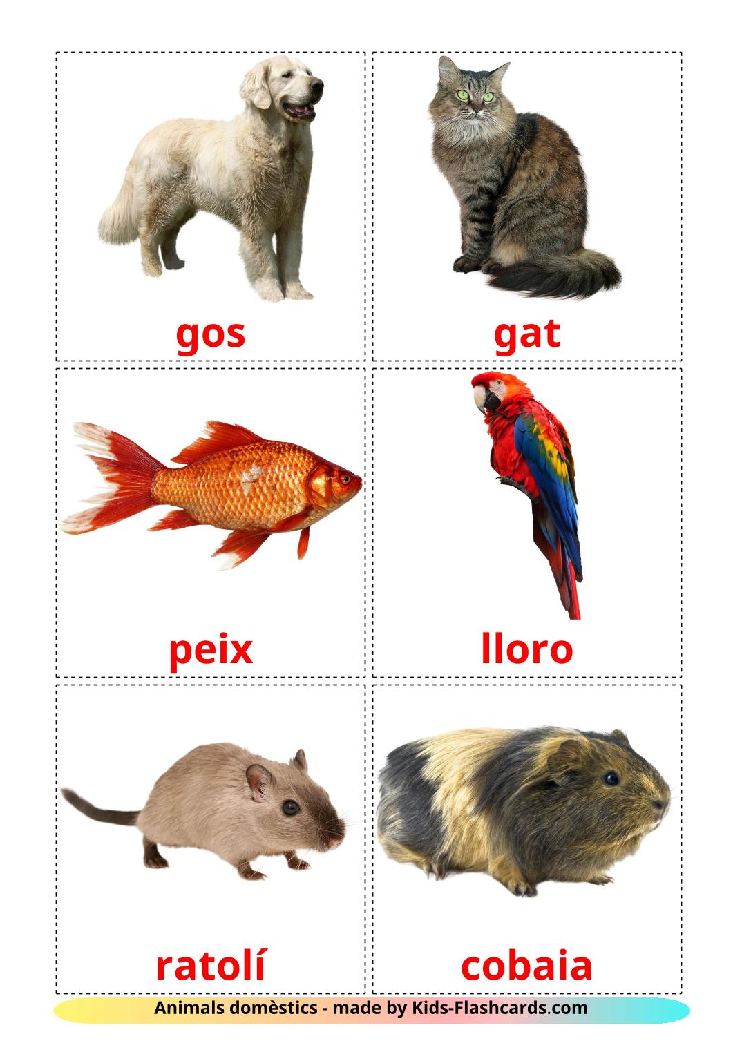 Les animaux Domestiques - 10 Flashcards catalan imprimables gratuitement
