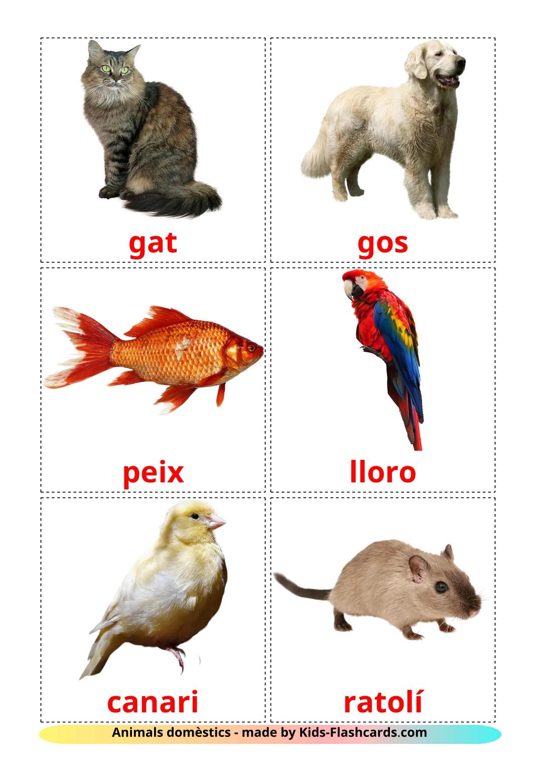 Domestic animals - 11 Free Printable catalan Flashcards 