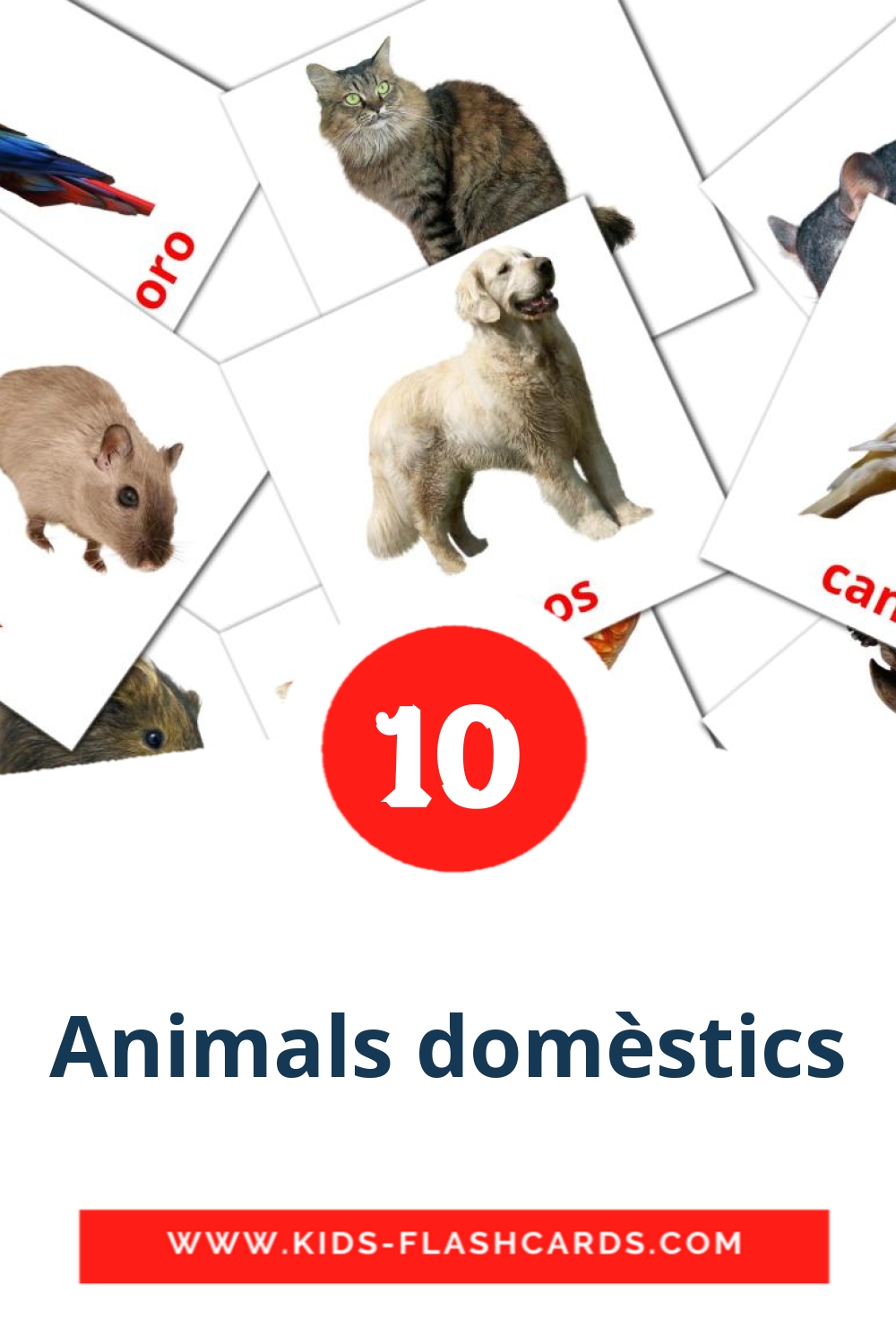 10 cartes illustrées de Animals domèstics pour la maternelle en catalan