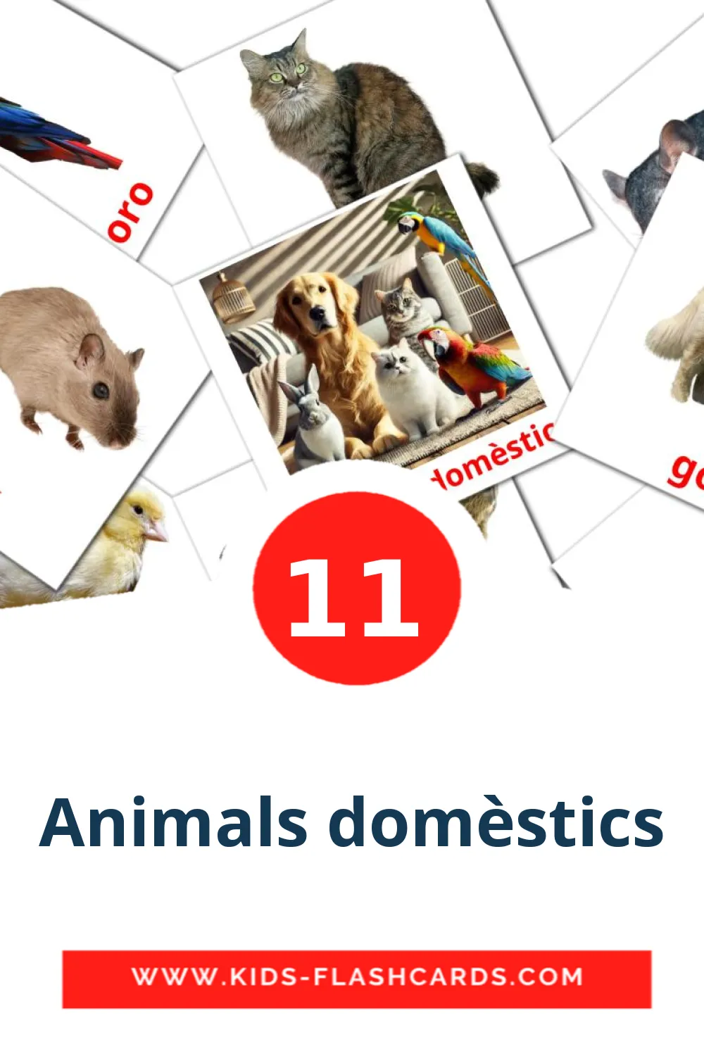 11 Animals domèstics Picture Cards for Kindergarden in catalan