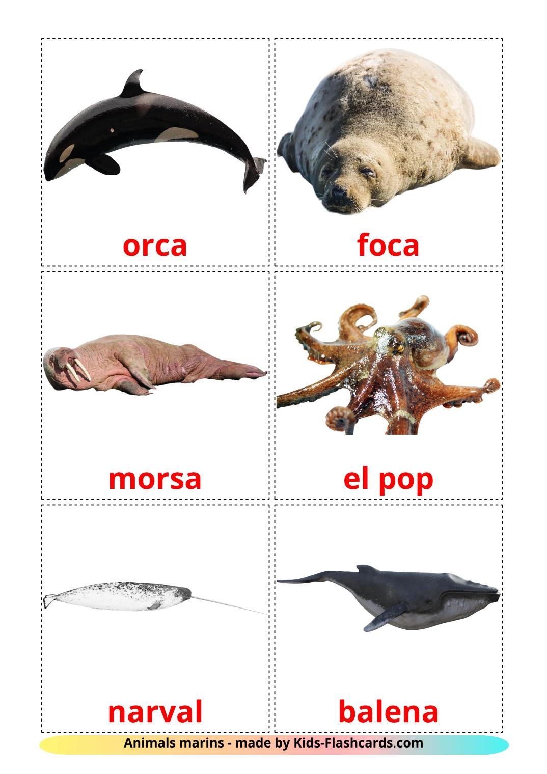 Animali marini - 29 flashcards catalano stampabili gratuitamente