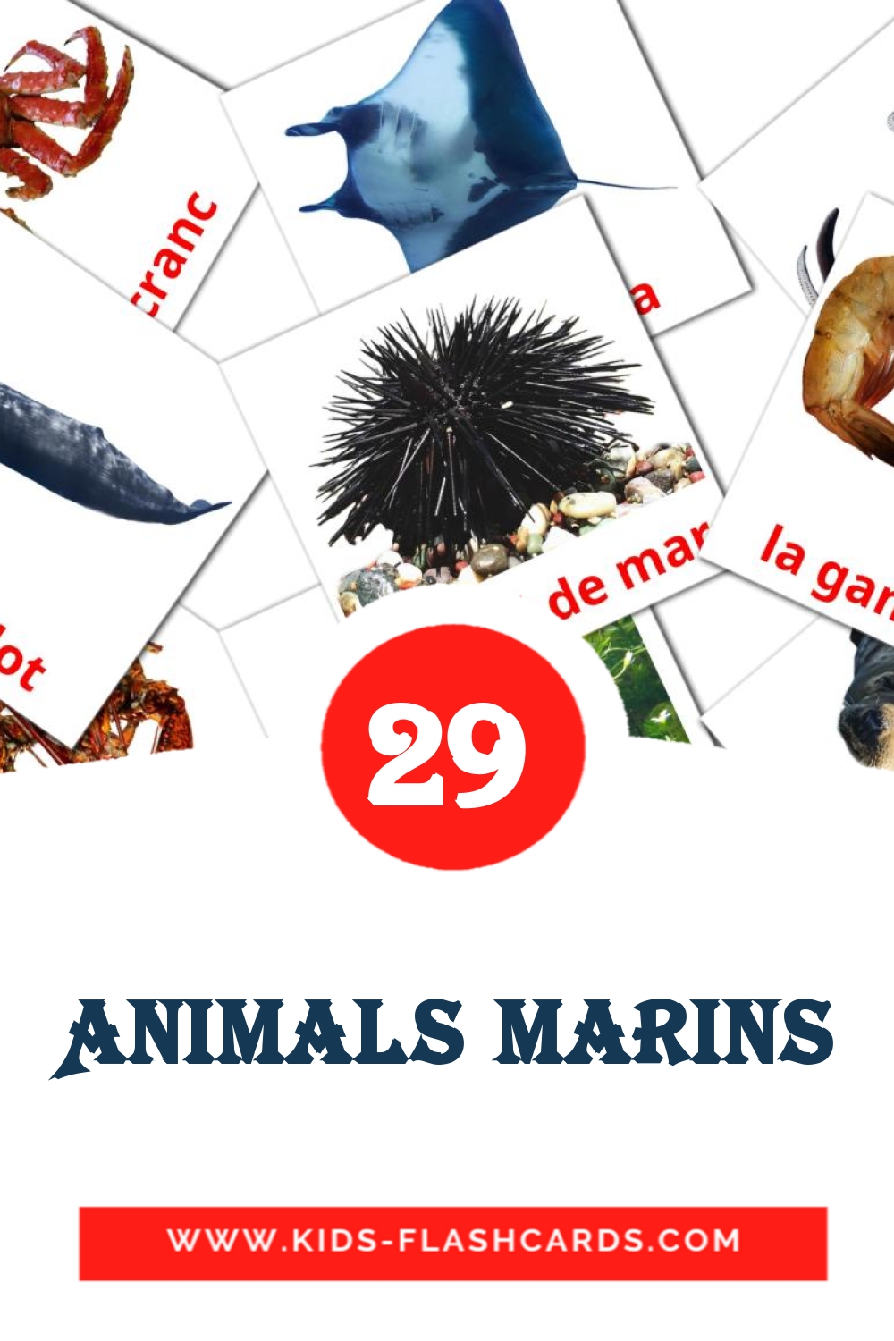 29 tarjetas didacticas de Animals marins para el jardín de infancia en catalán
