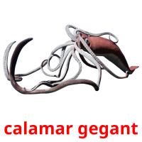 calamar gegant Tarjetas didacticas